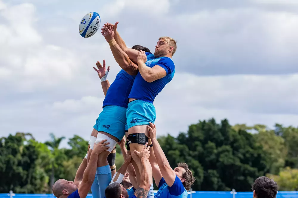 los pumas