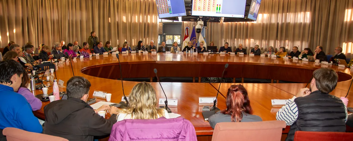 unc consejo superior