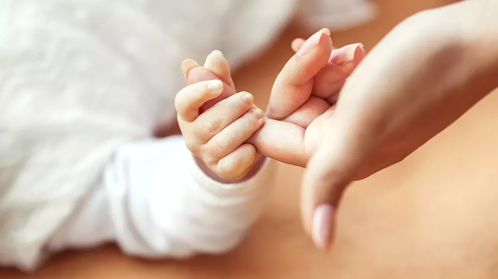 maternidad