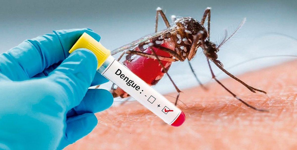 dengue 2