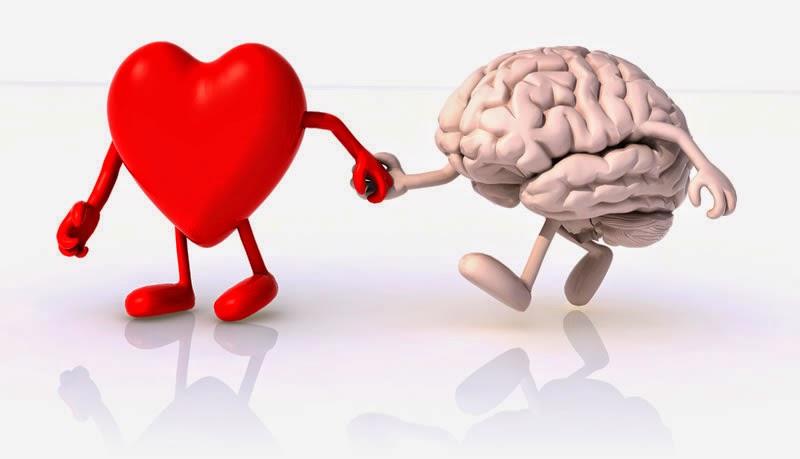 amor ciencia