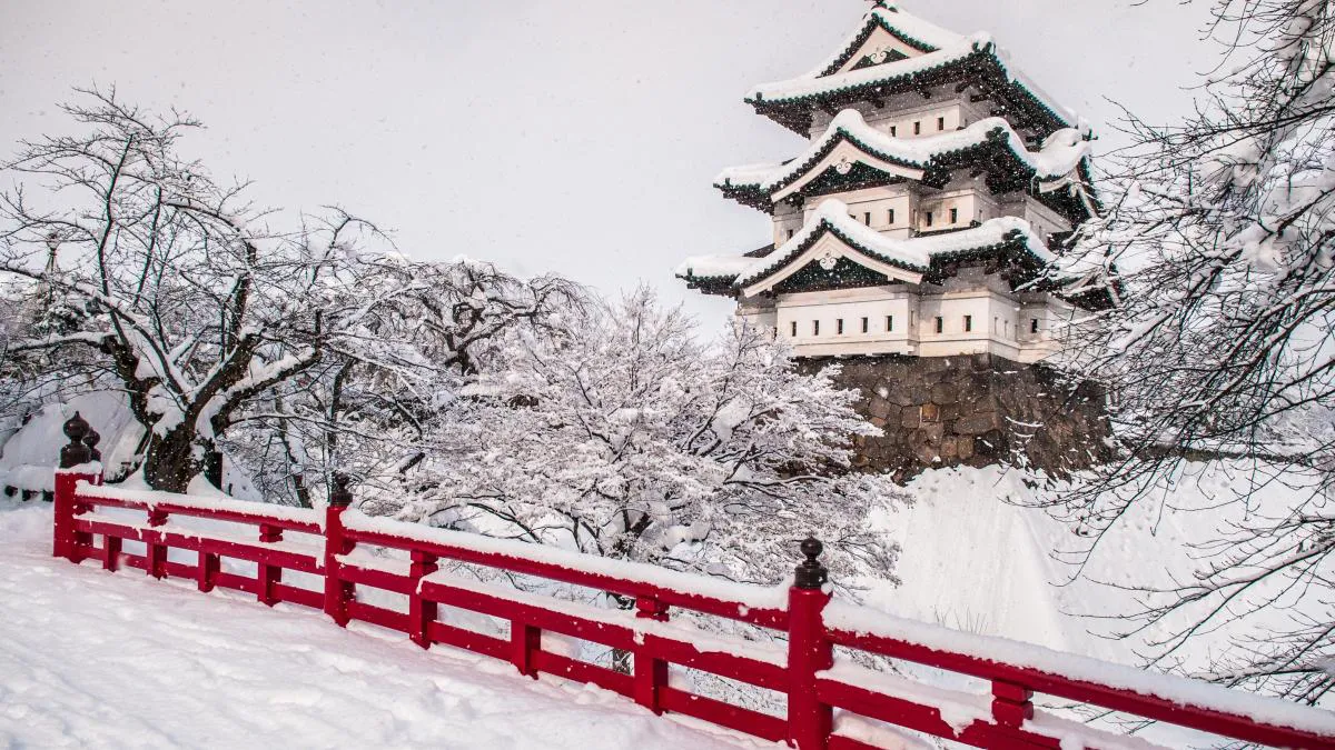 63d10618d9bbc.r_d.3886-1571-2799