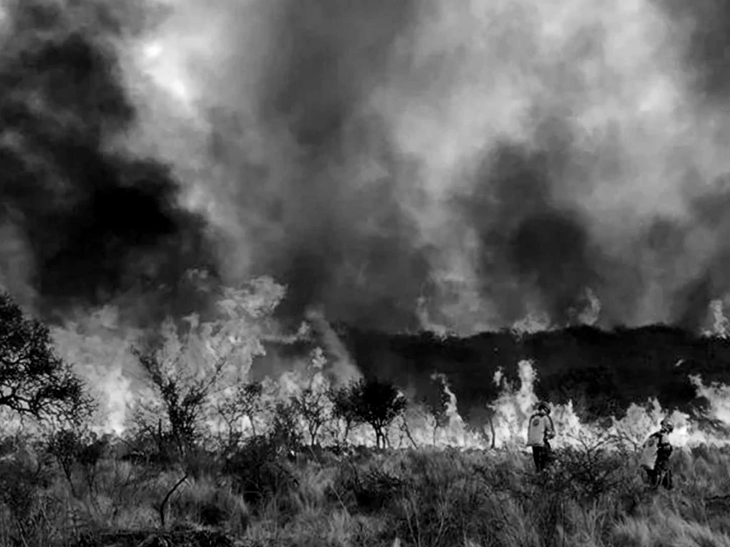 incendio22