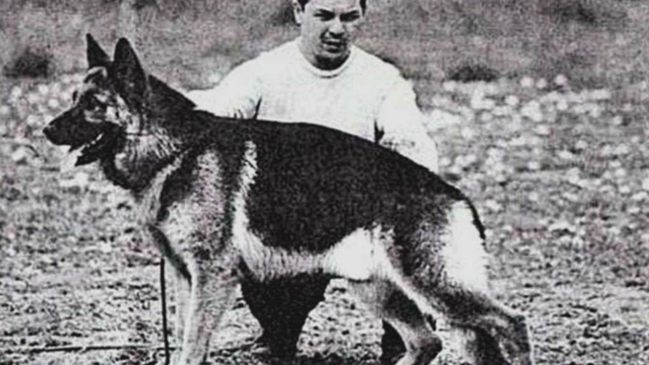 chonino-el-heroe-que-inspiro-el-dia-nacional-del-perro-en-argentina-965132
