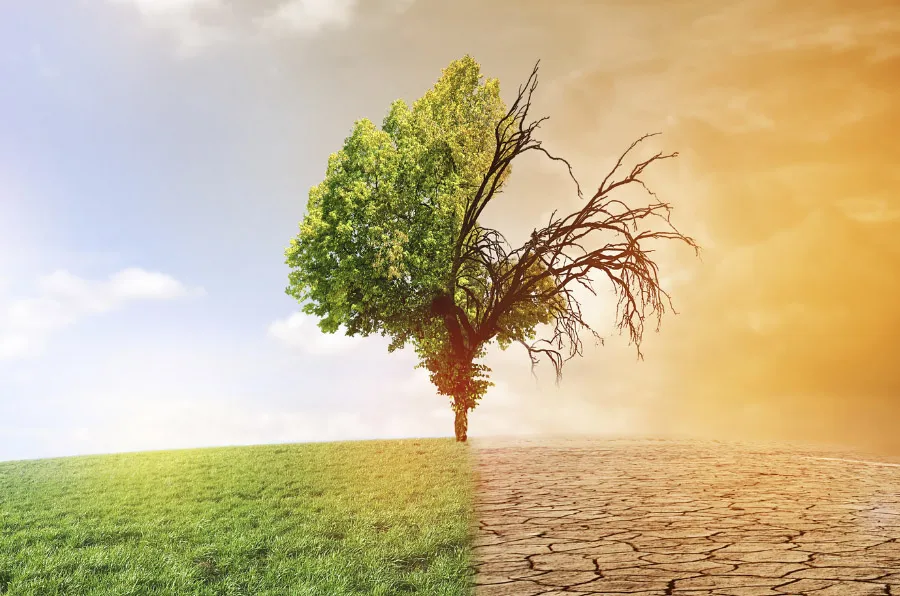 cambio climatico