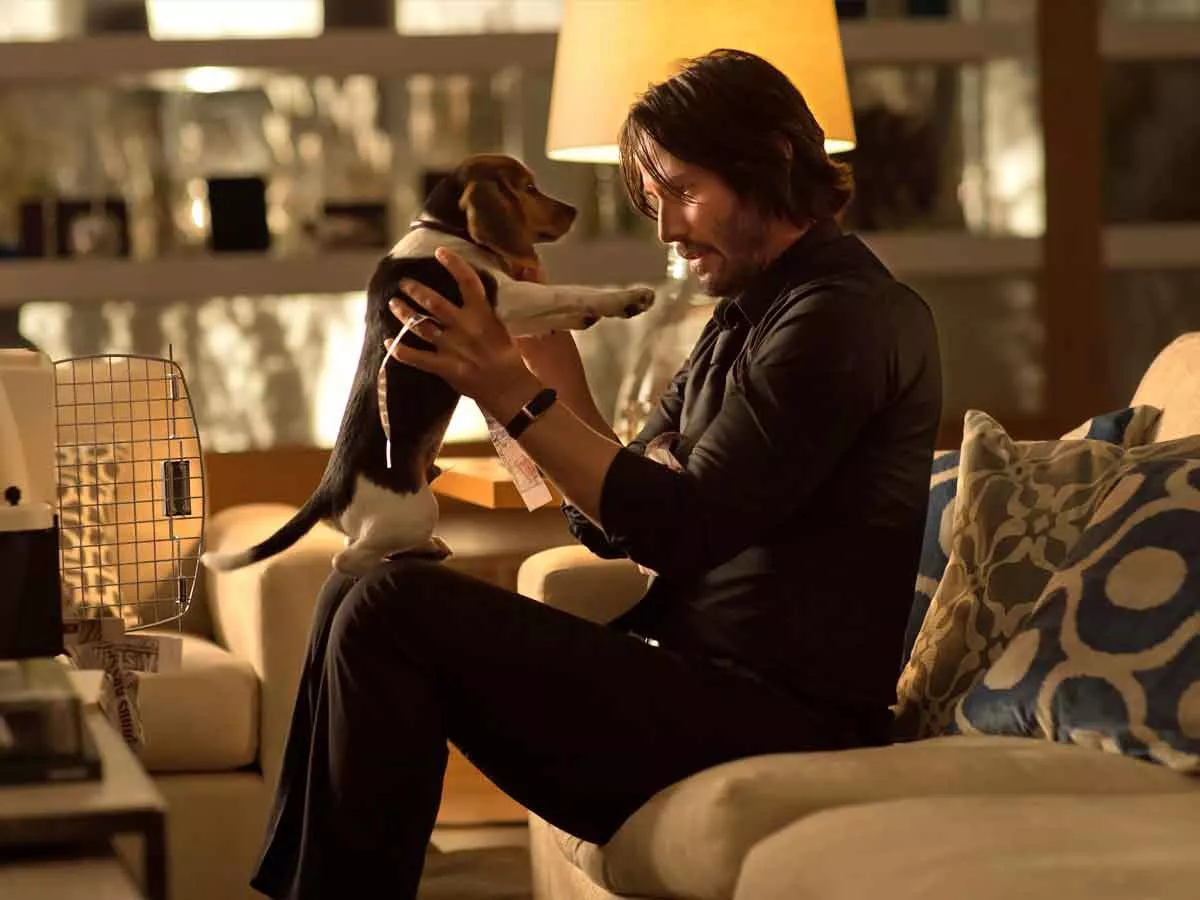 perro john