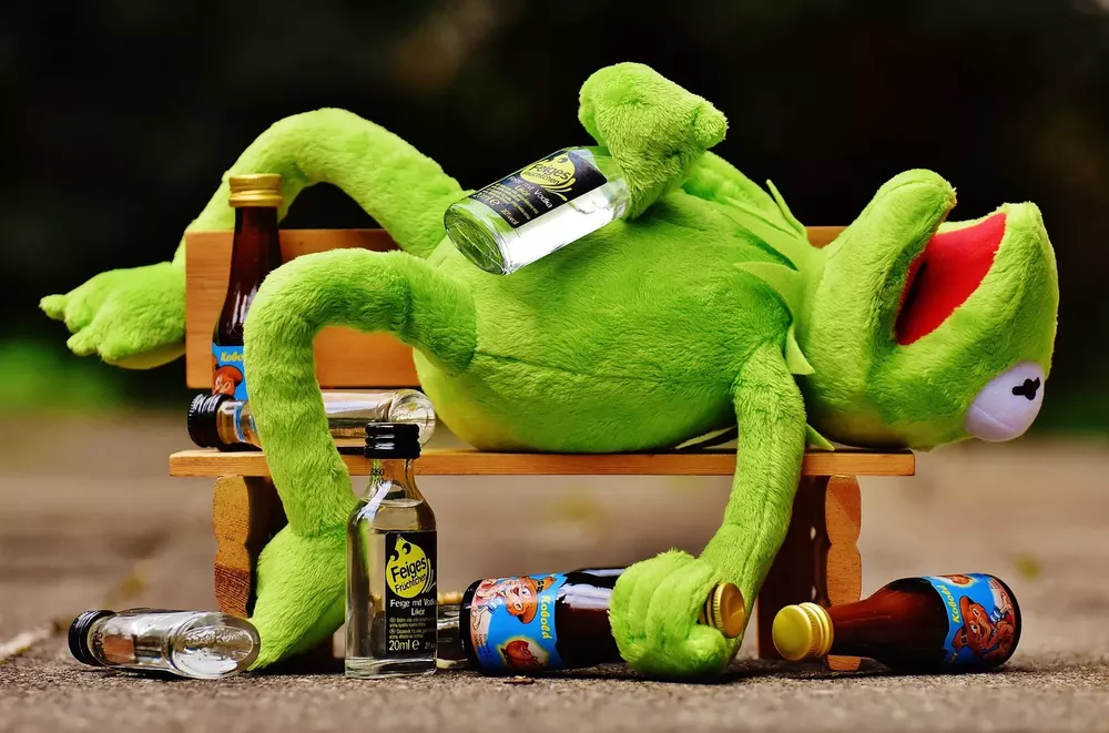 resaca fiesta sapo pepe