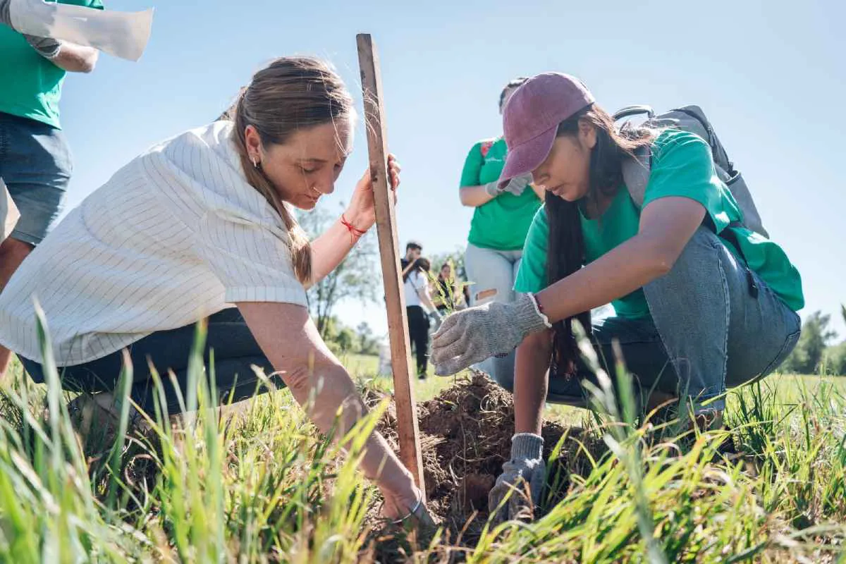 arboles plantación rio suquia
