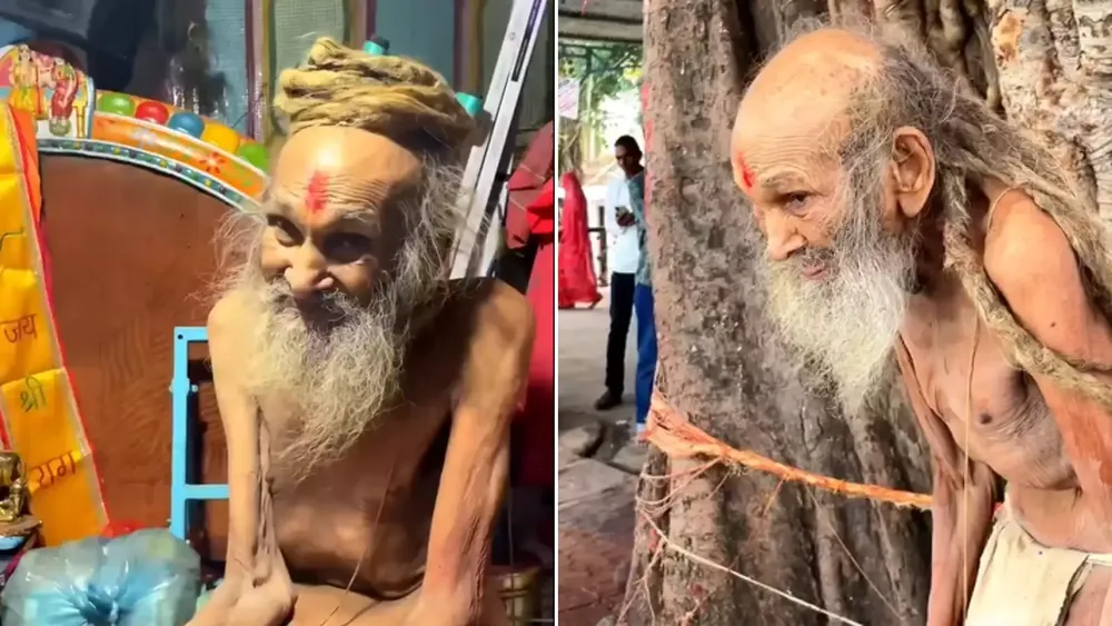 madhya-pradesh-110-year-old-saint-siyaram-baba-life-journey-explained-by-a-person-in-reel-watch-viral-video-113930796