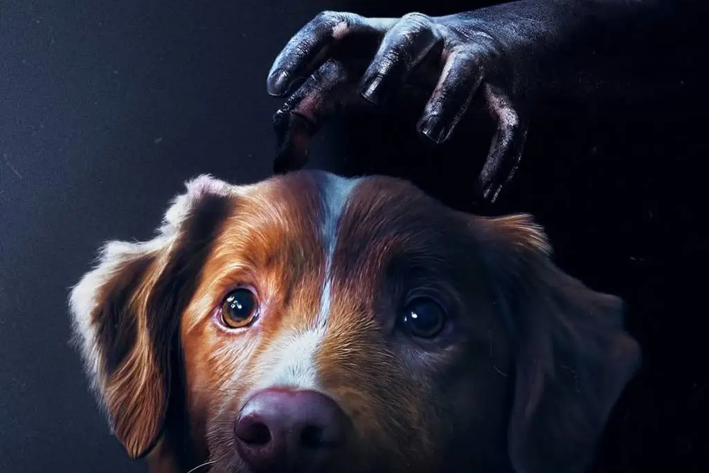 good-boy-pelicula-de-terror-1024x683-1