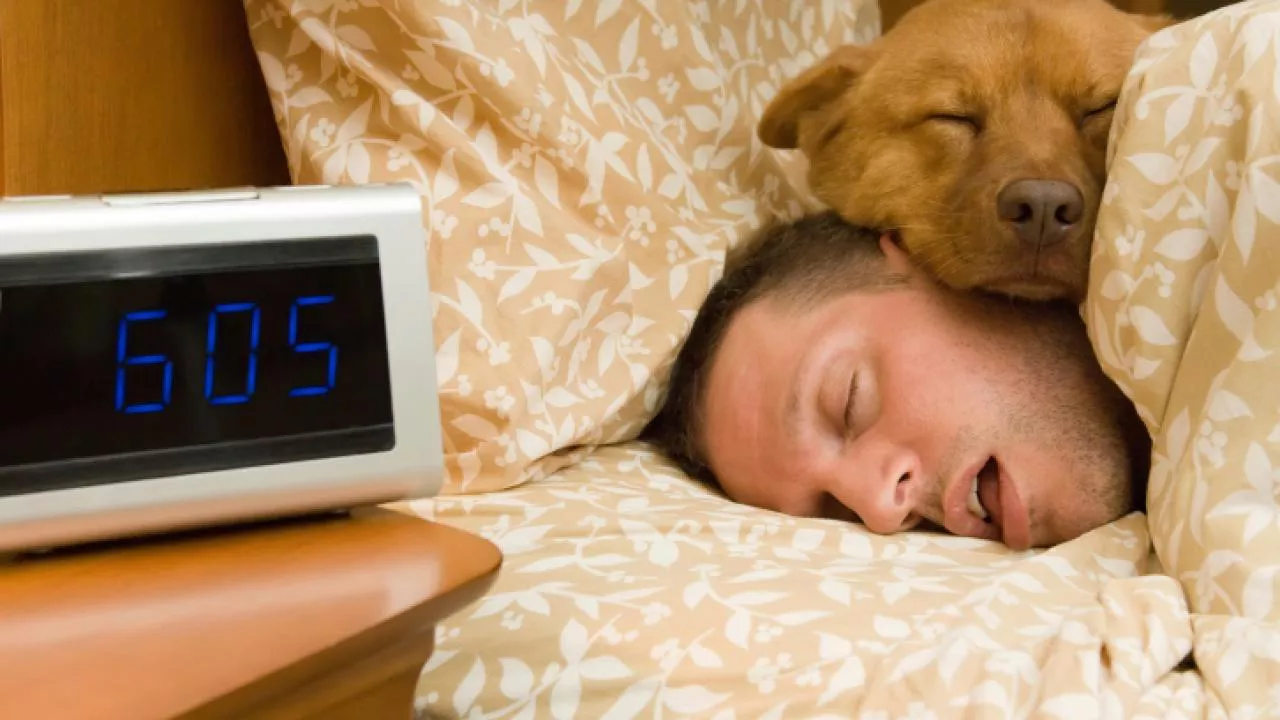 es-bueno-dormir-con-tu-mascota