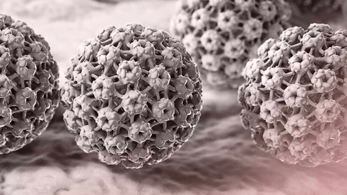 virus del papiloma humano vph