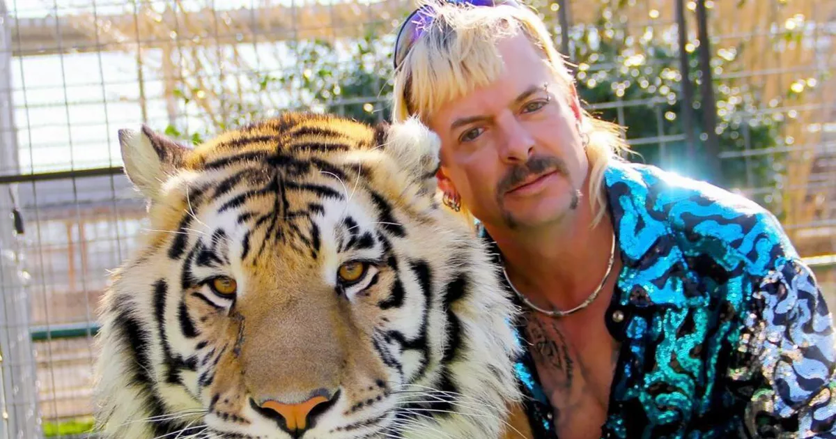twitter-in-stream-wide-tiger-king-netflix-1