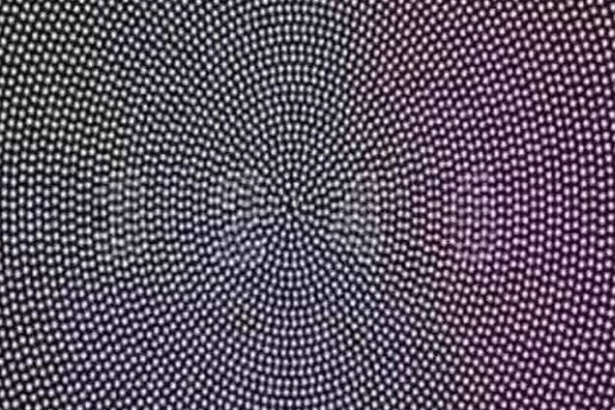 7f114c6786aee9e46c04c4818e4c038b