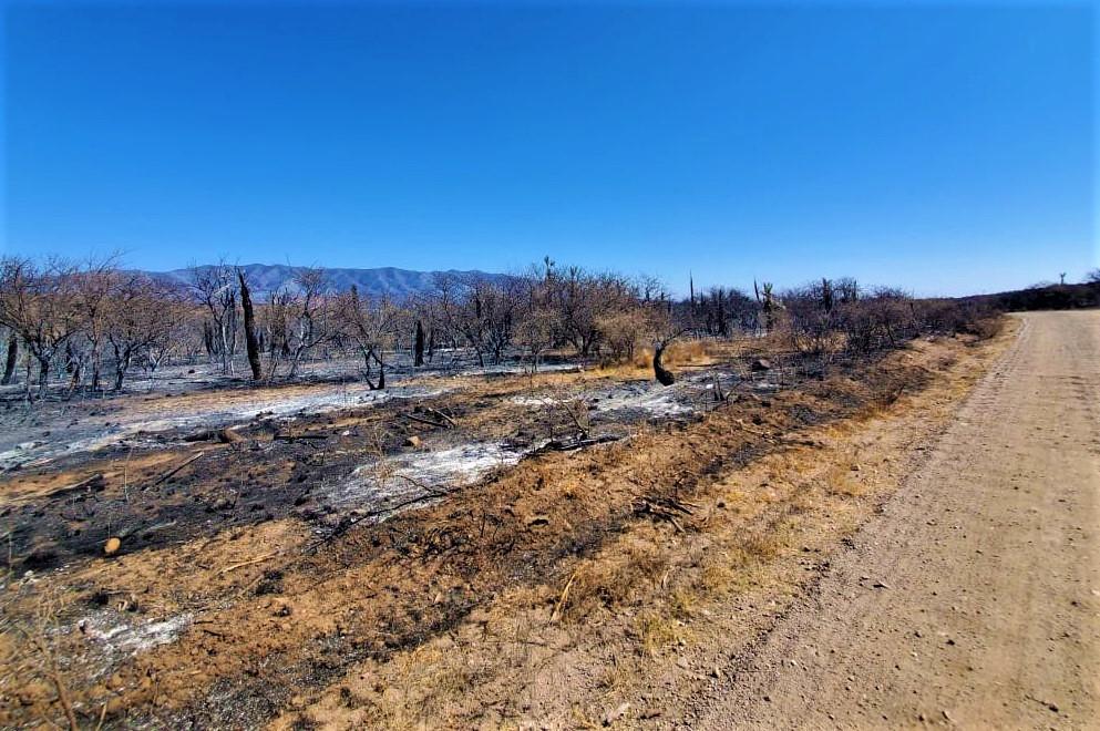 incendios san lorenzo