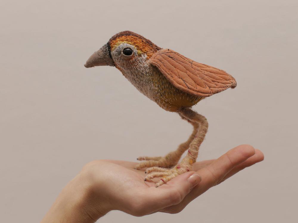 La-luz-de-los-pájaros-3-foto-Santiago-Rocchietti-2