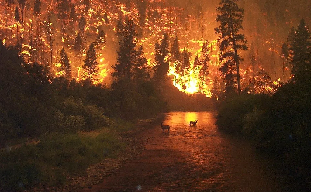 incendios