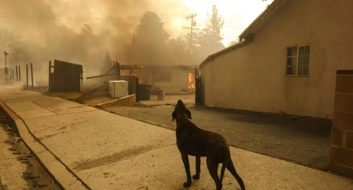 los angeles incendios