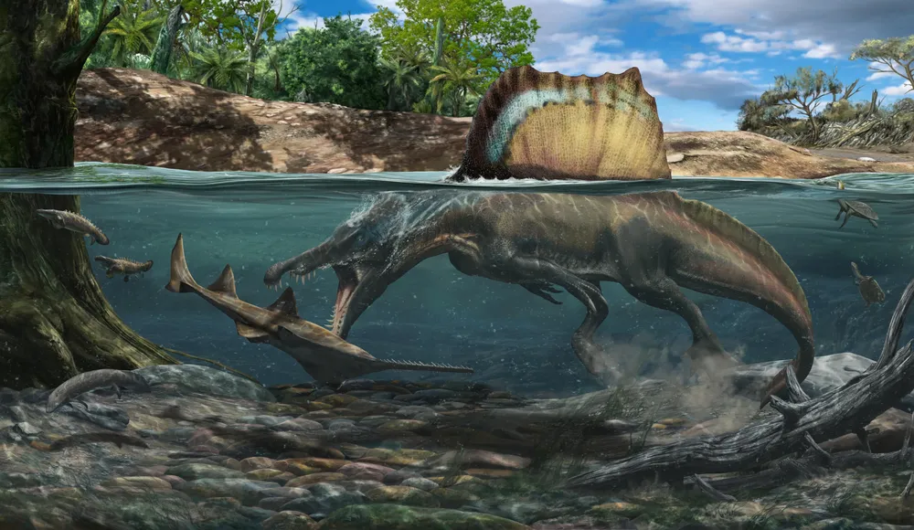 de42f7f1-2fee-4c3b-b59f-258d7353ffe9-spinosaurus-hunting-underwater-a-large-onchopristis