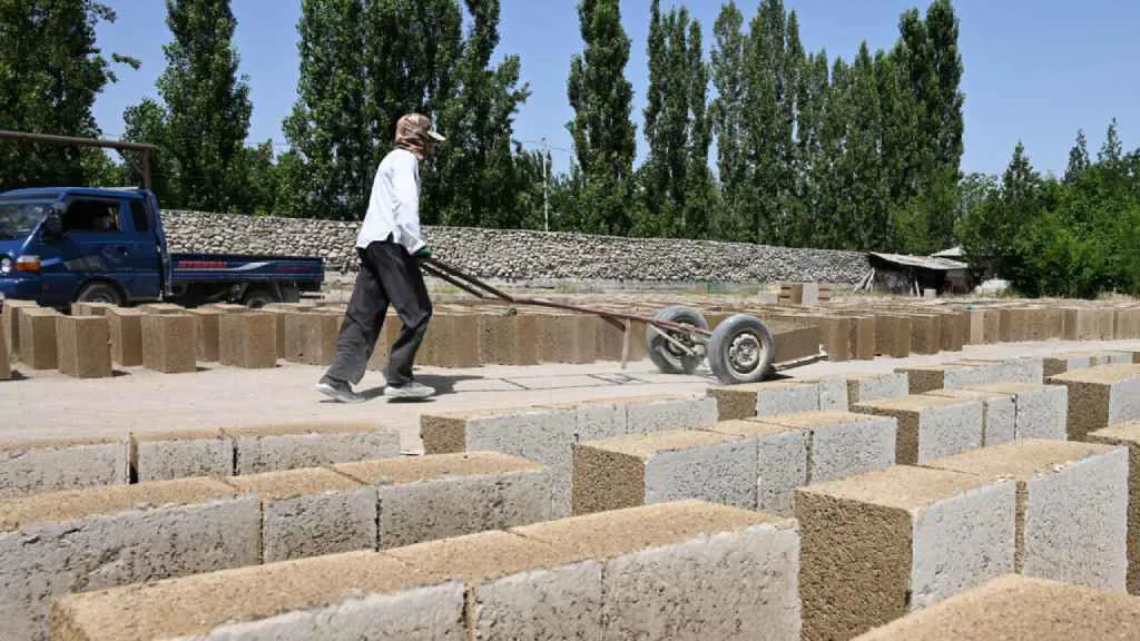 construccion viviendas de arroz