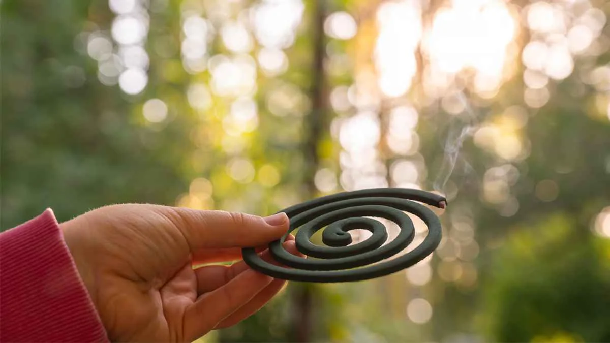 espiral