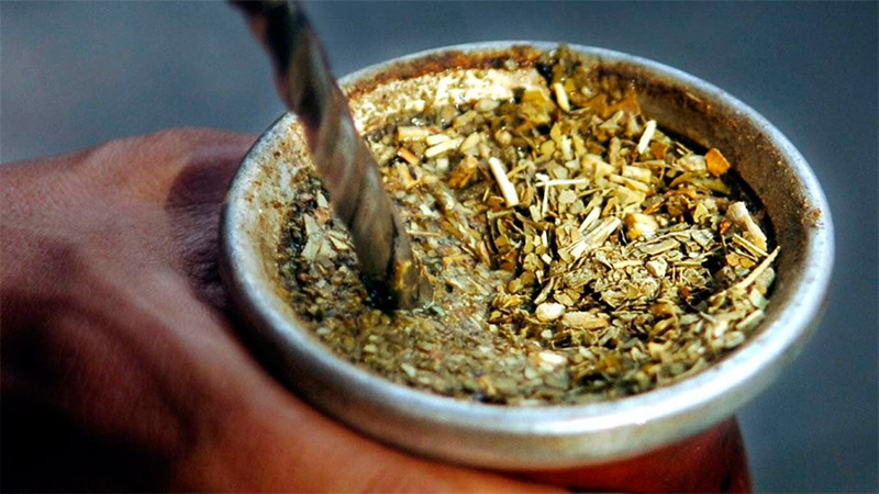 yerba mate