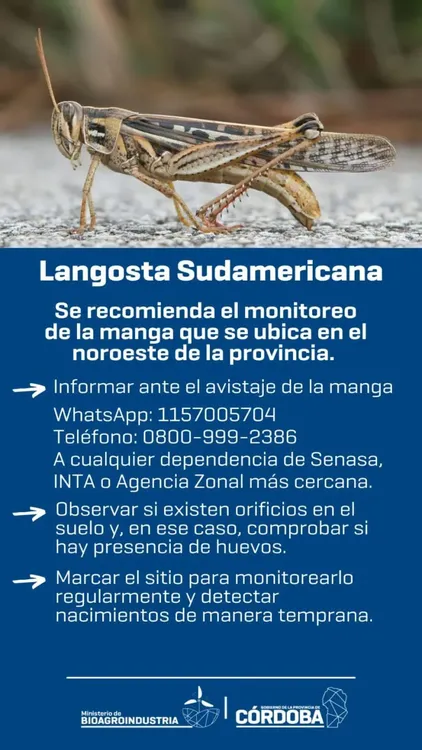 WhatsApp-Image-2024-07-31-at-14.25.09-768x1366
