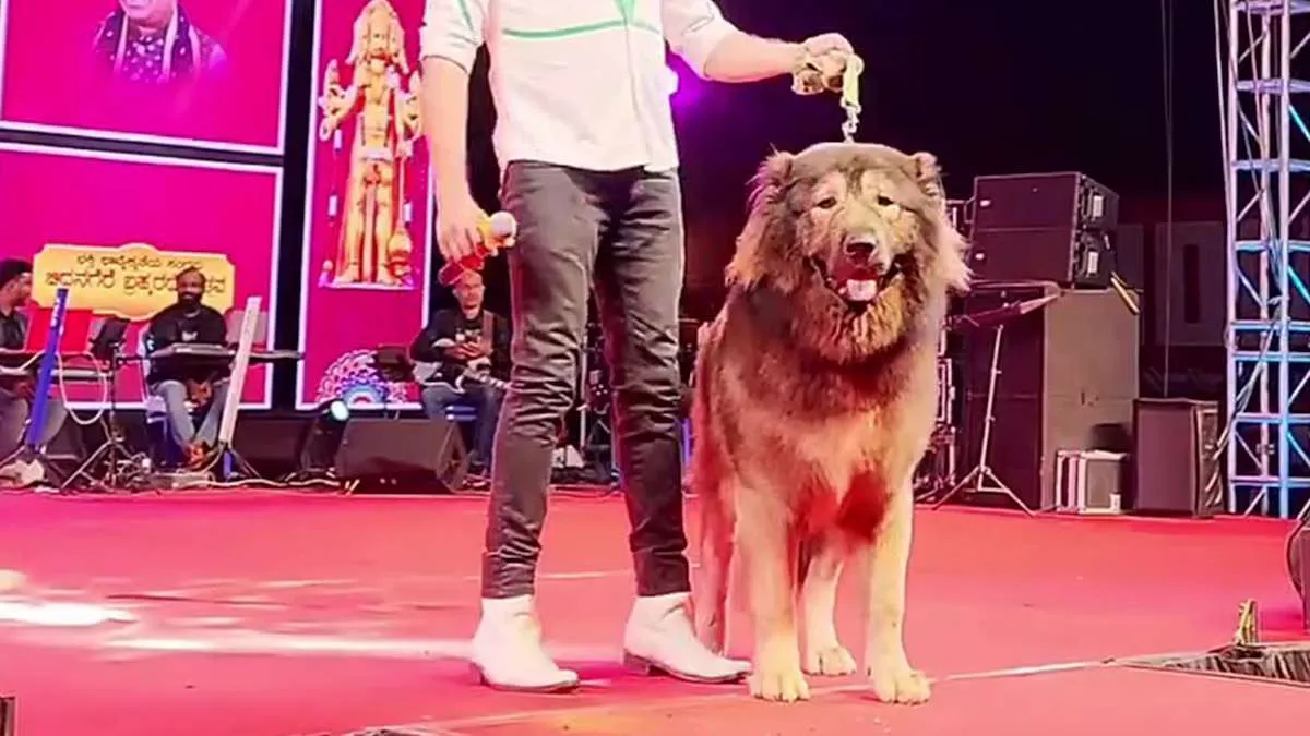 6NZOGKYQ5JDTJEW2N4PQGP52IM