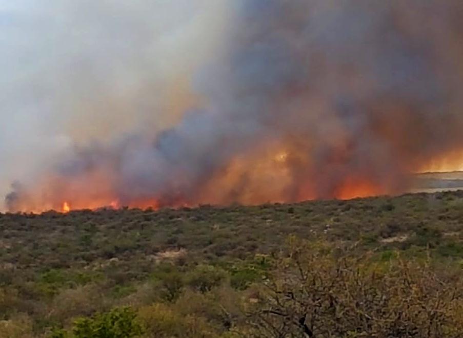 WhatsApp-Image-2020-08-29-at-21.10.29