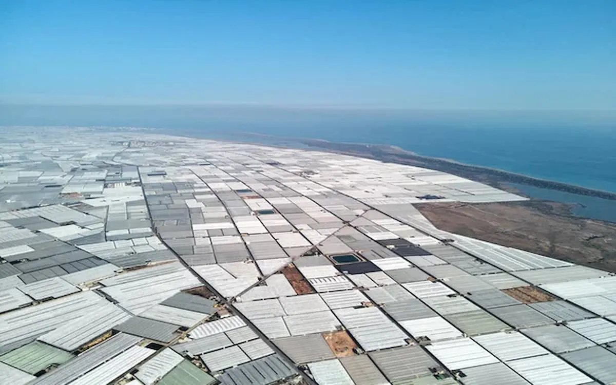 depositphotos_249801846-stock-photo-aerial-panorama-greenhouses-in-the-1