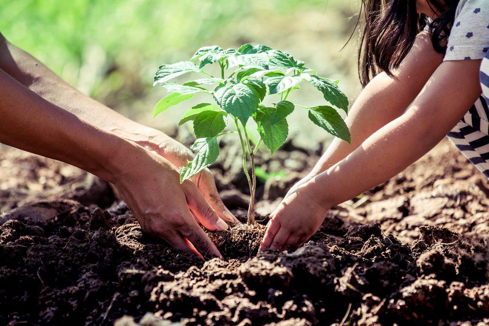 ambiental