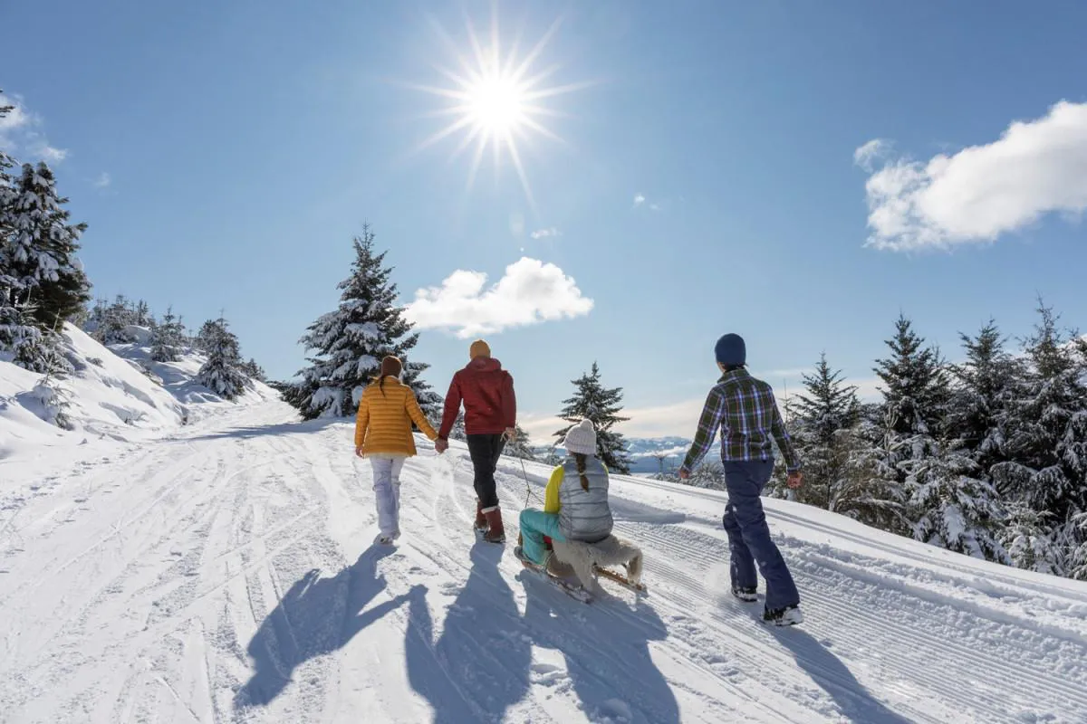 vacaciones de invierno