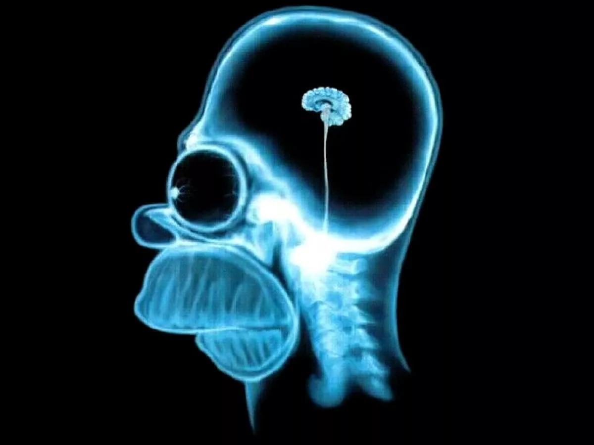 homero cerebro