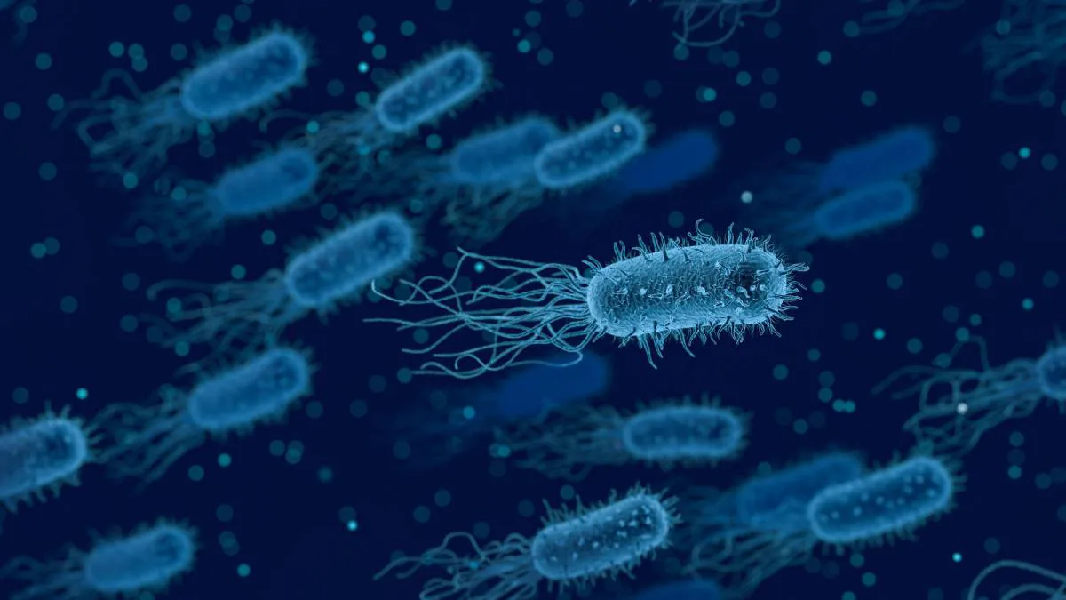 listeriosis infeccion