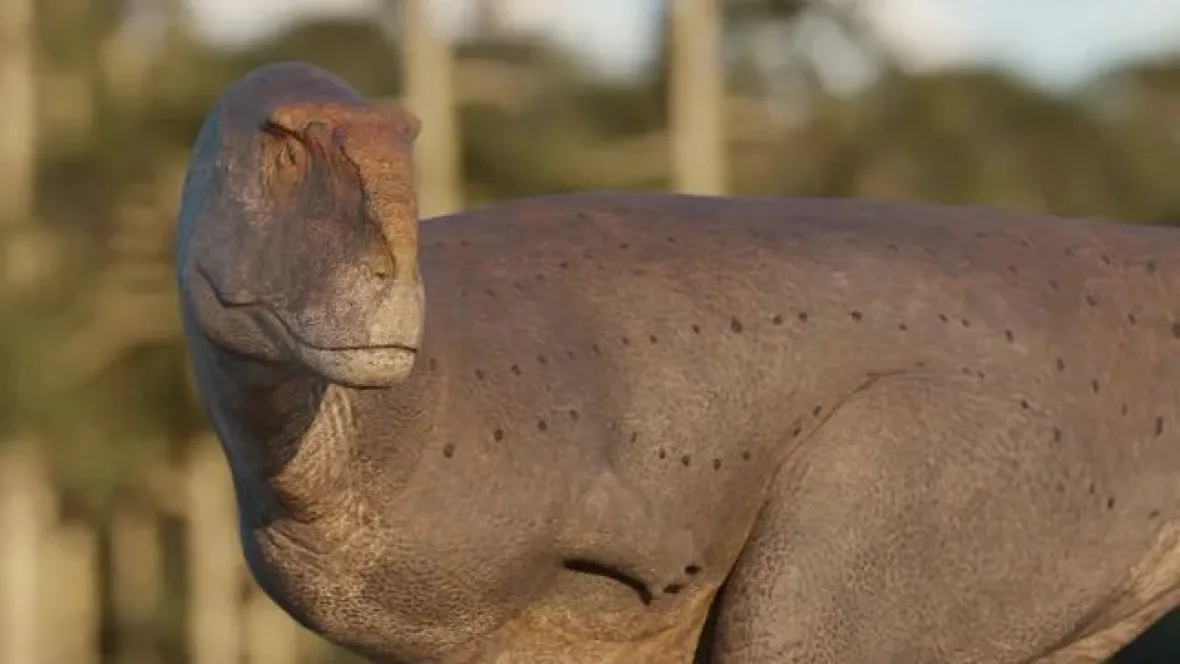 664cff158bdd7_1180_664!