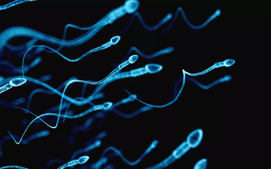 astenozoospermia-1080x675