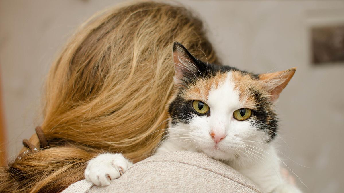 mujeres solteras gatos