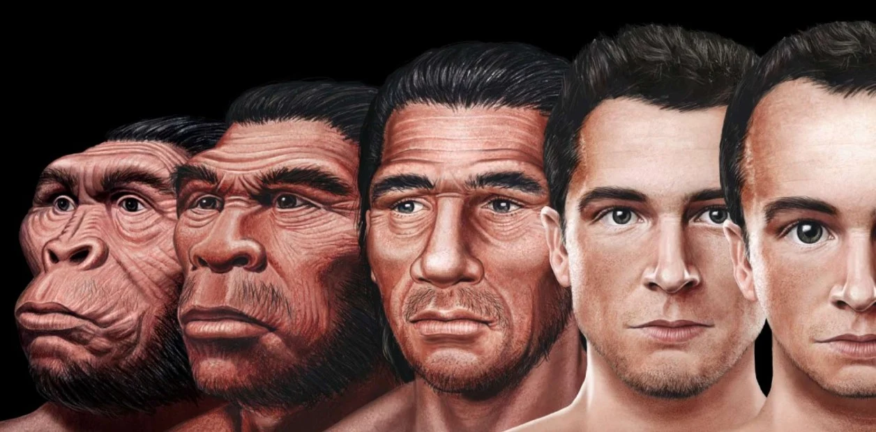 evolucion del hombre