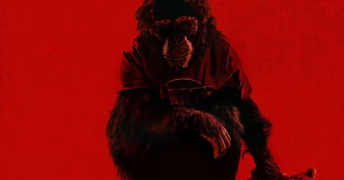 a-chimp-silhouetted-from-behind-on-the-poster-for-primate