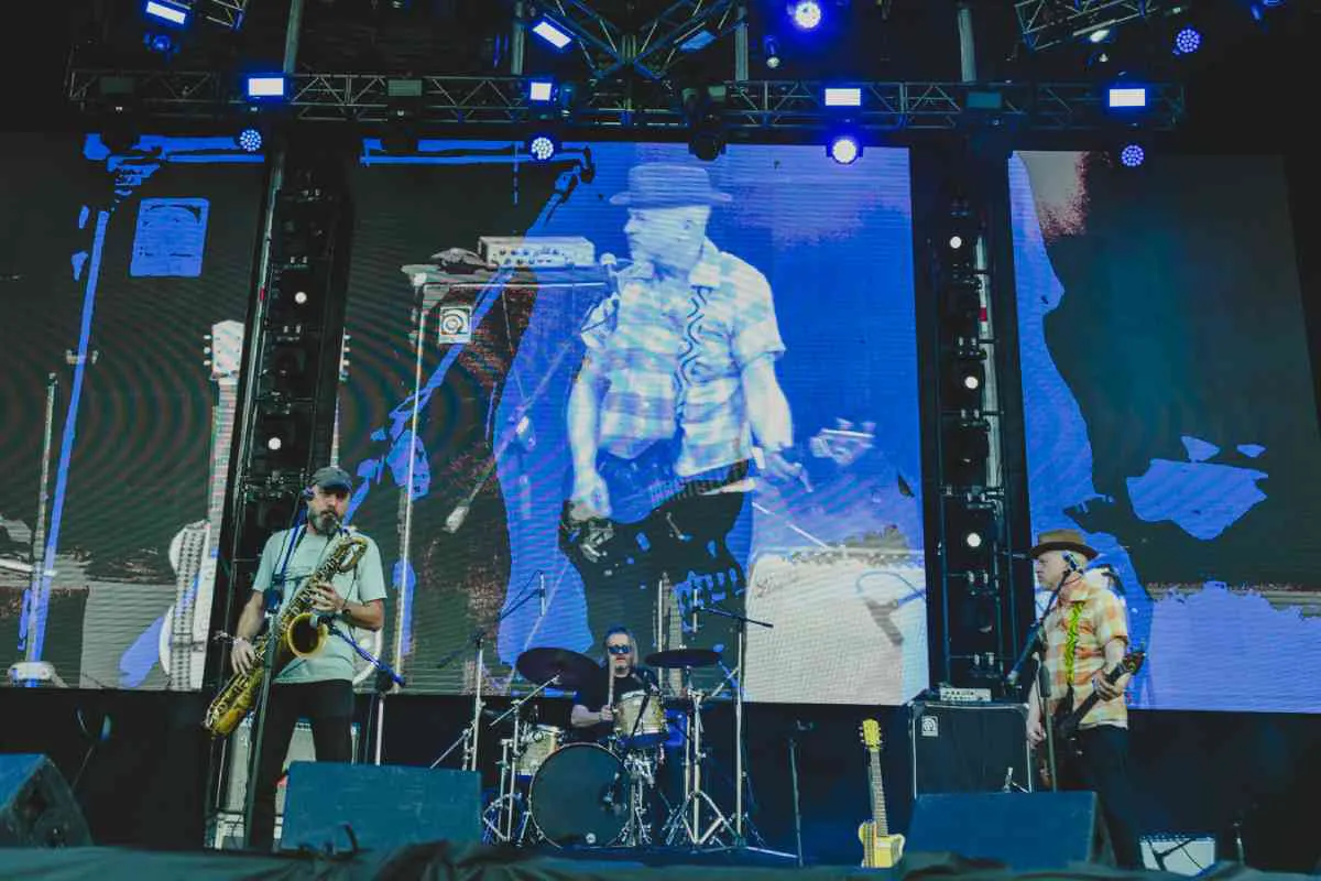 Domingo Vapors of Morphine Boomerang