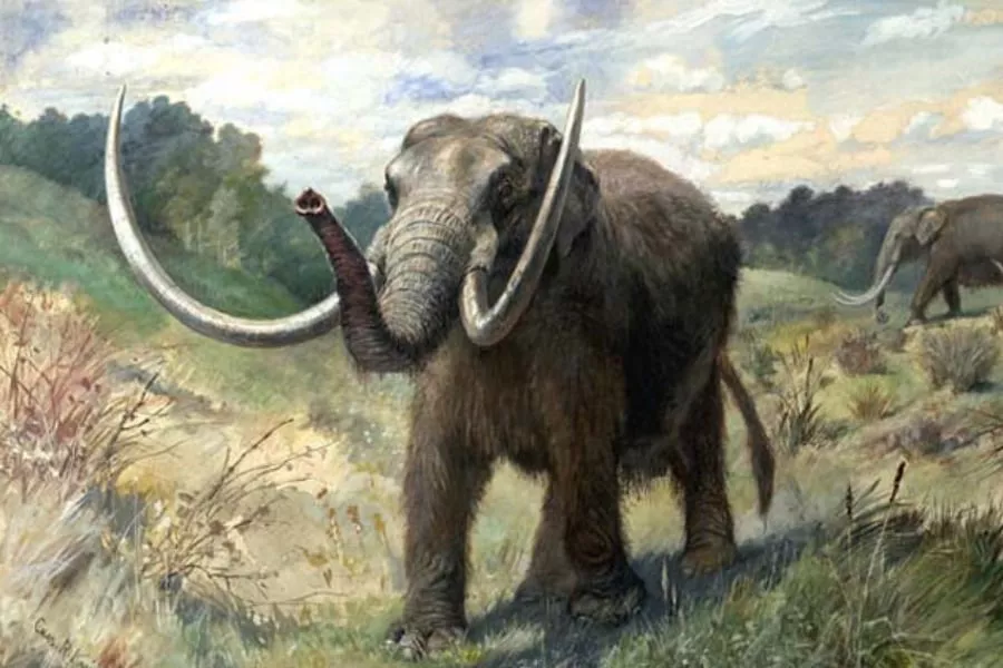 Mastodonte-Americano-01