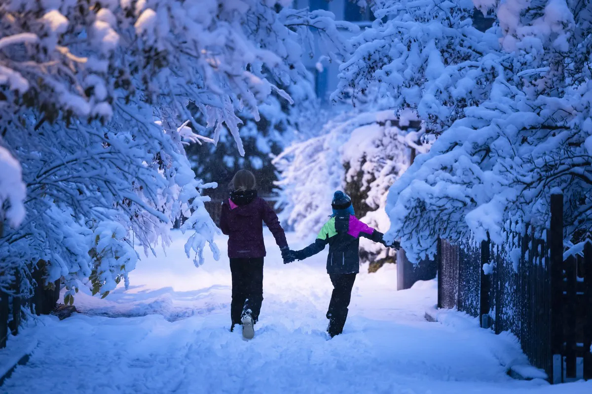 nieve 3