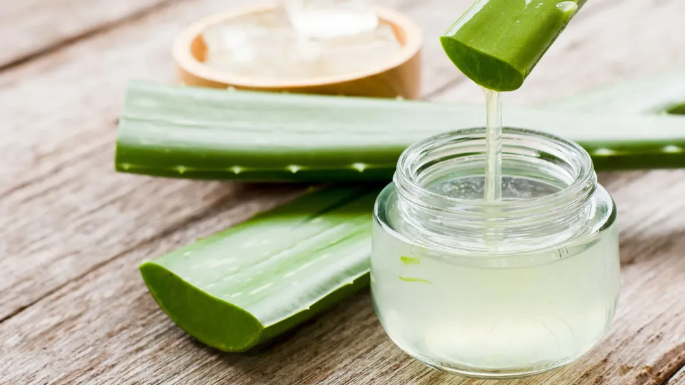 aloe vera en el shampoo