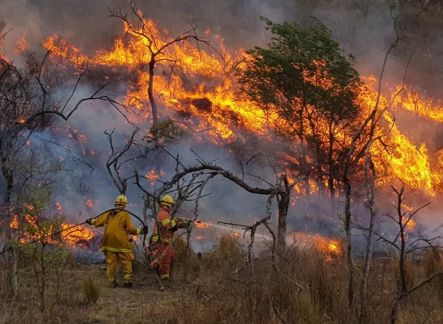 incendios alpa corral