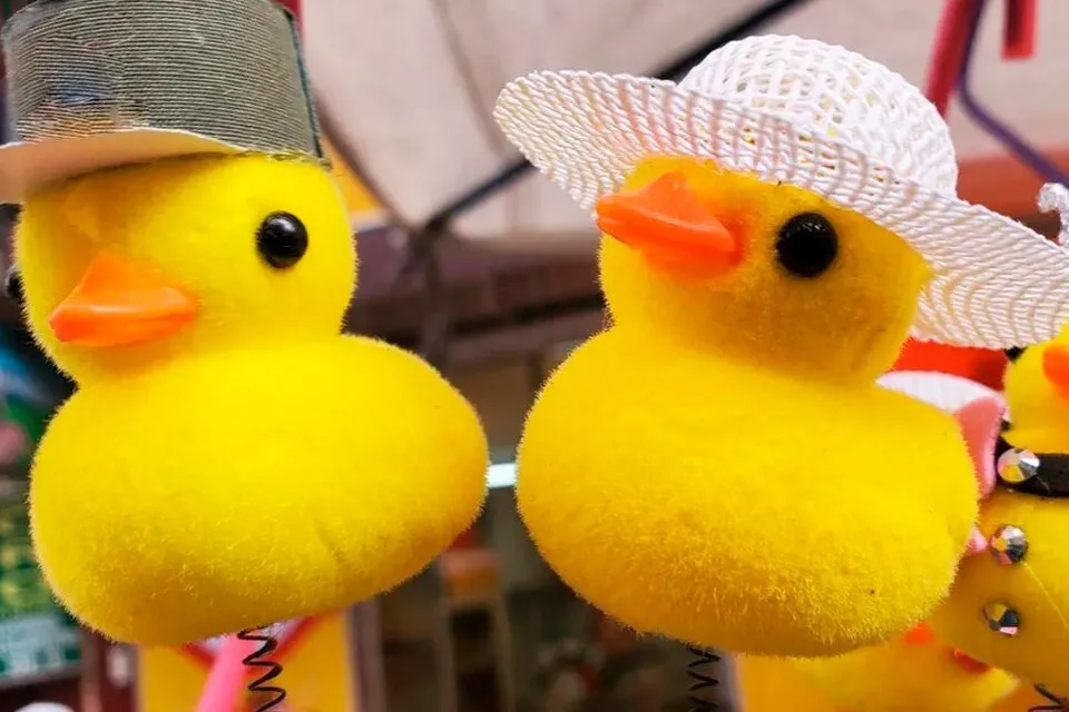 839843-whatsapp-20image-202024-05-16-20at-2019-19-04