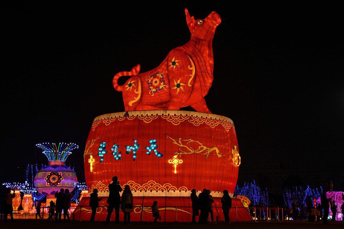 Año nuevo Wuhan 2