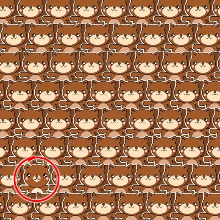 f768x1-887567_887694_79