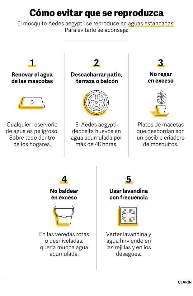dengue-evitar-reproduccion-dk-svg