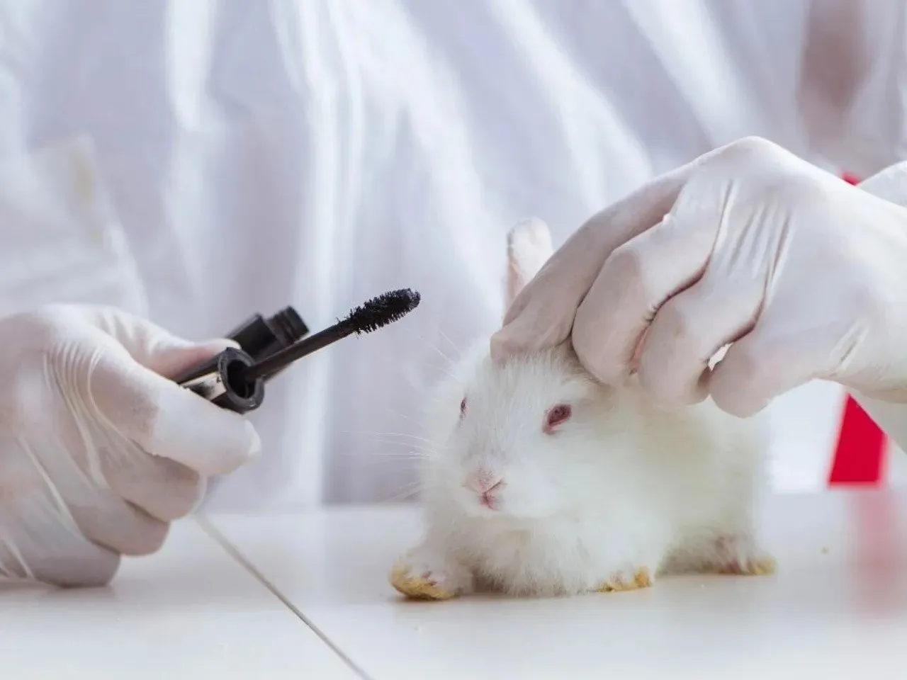 cosmeticos animales