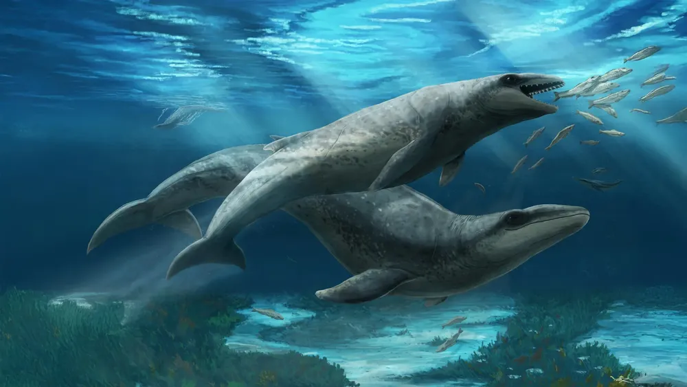 janjucetus-dullardi-calf-and-mother